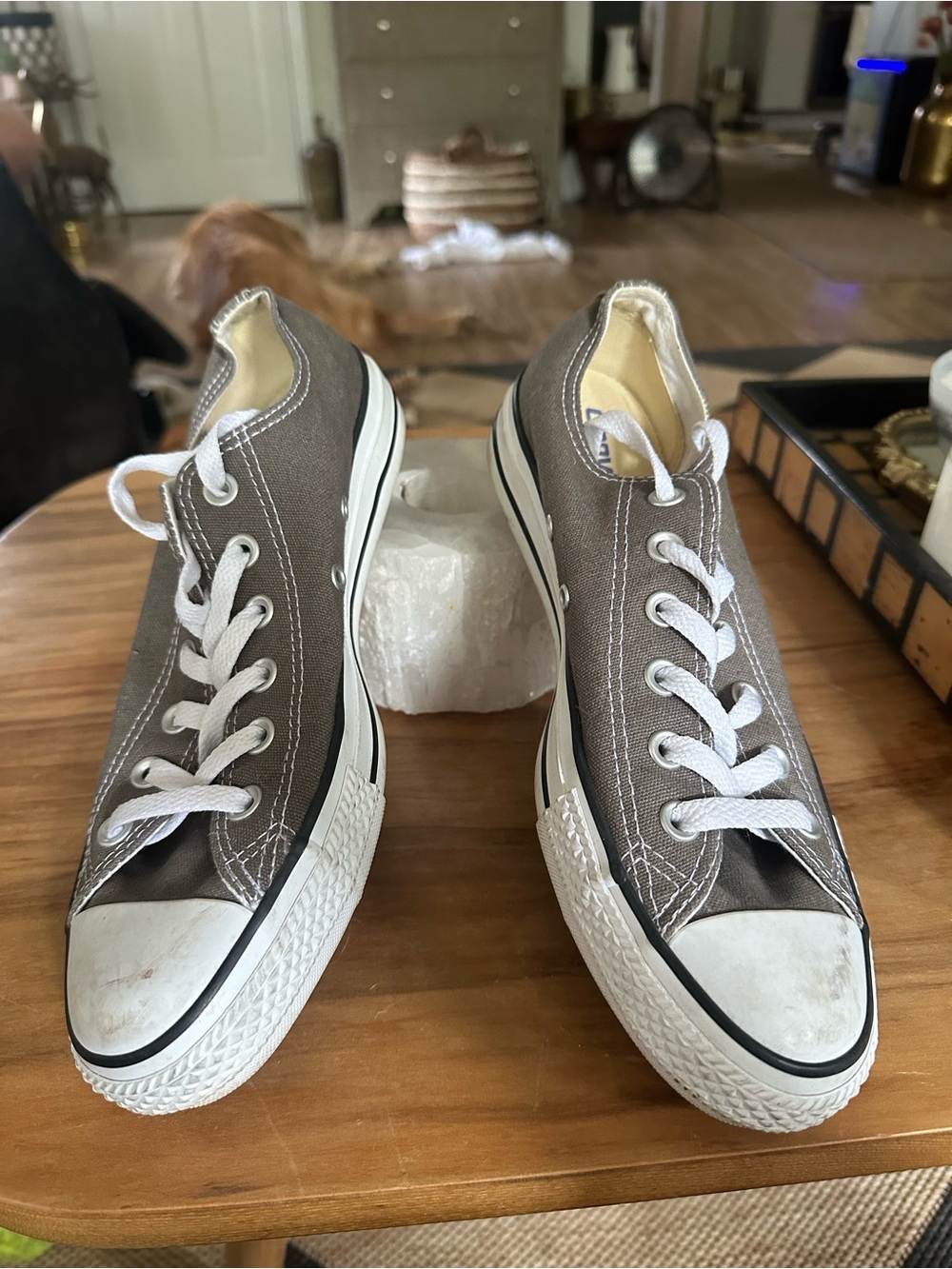 Classic Low-Top Canvas Athletic Sneakers in Taupe - Picture 3 of 5